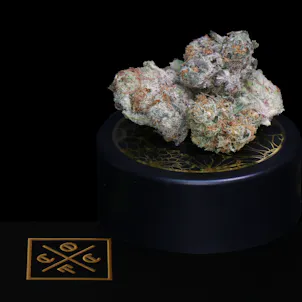 Photo of Morello Kush | 3.5G | Smalls