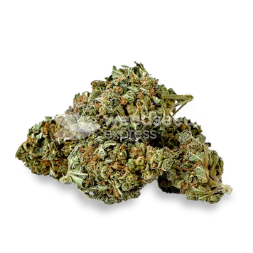 Photo of Wedding Cake Feminized Seeds