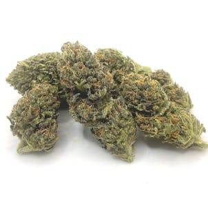 Photo of Legendary Jack