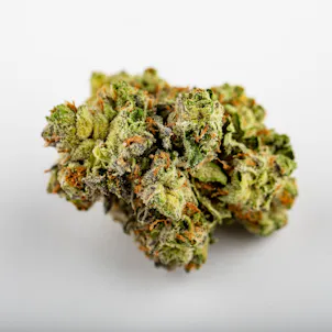 Photo of Cannabis Flower Studio Photography