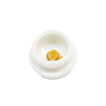 Photo of Cherry Chip