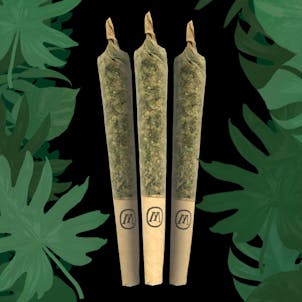 Photo of Marley Green Hybrid Pre-Rolls (3 pack)