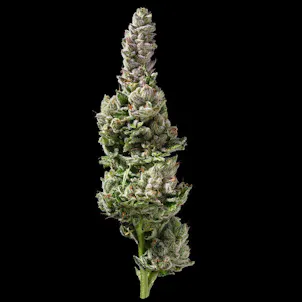 Photo of Strawberry Banana