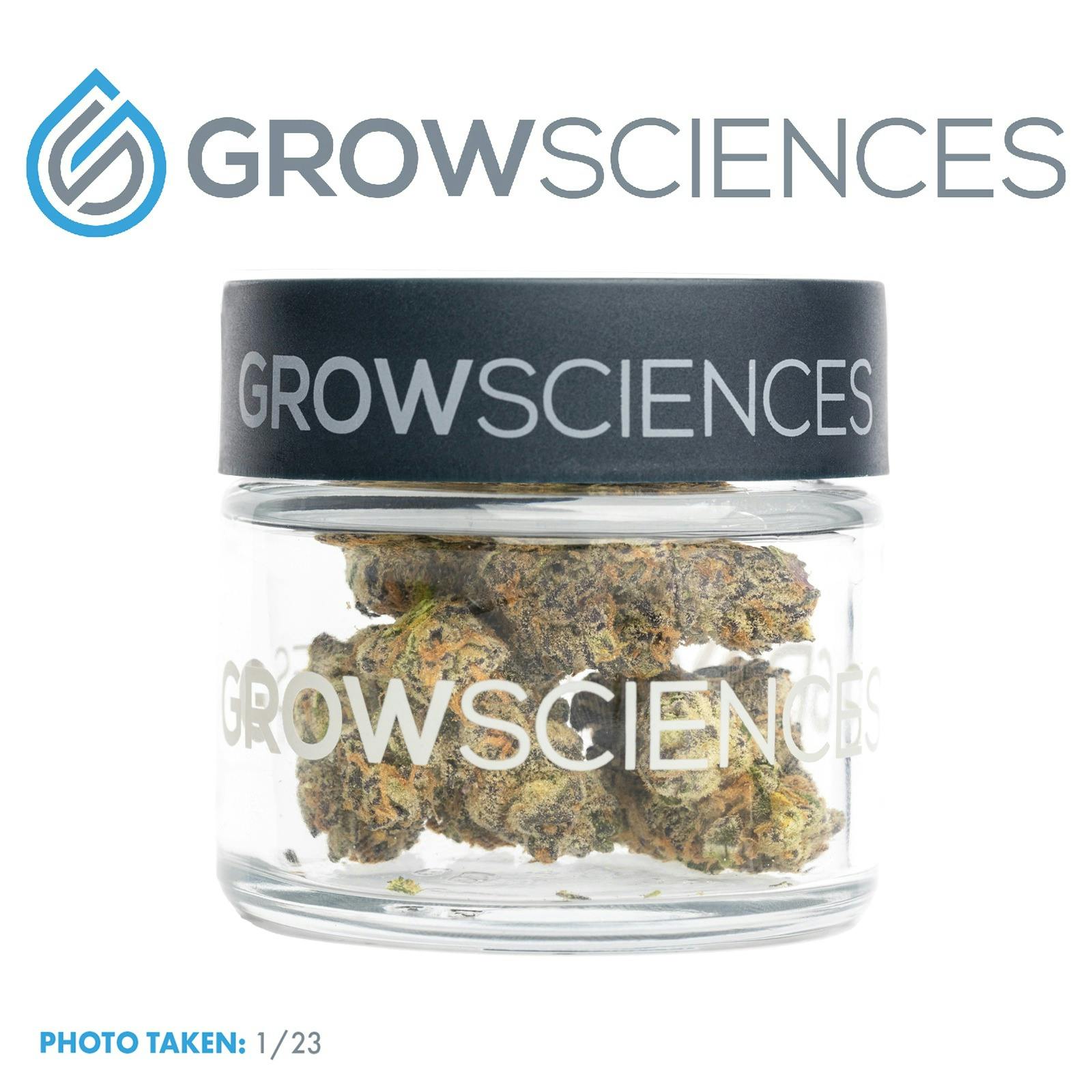 Grow Sciences Sundae Driver x Gushers Leafly