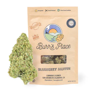 Photo of Blueberry Muffin - 28g Bag