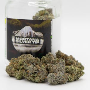 Photo of Montana Silver Tip