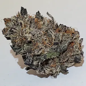 Photo of Peanut Butter Breath Buds