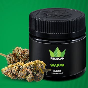 REDEES WAPPA PRE-ROLLS - Redecan - REDEES WAPPA PRE-ROLLS - 4