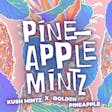 Product image for Pineapple Mintz Pre-Roll 1g