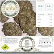 Product image for God's Gift