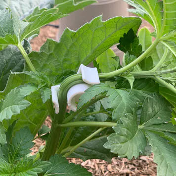 Photo of AirTech LSTclips - Low Stress Training Clips