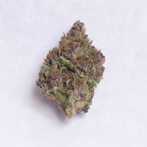 Photo of Rose Colored Glasses