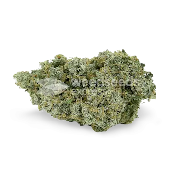 Photo of Jack Herer Autoflower Seeds