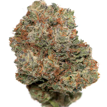 Photo of Banana Kush