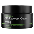 Product image for CBD Recovery Cream 500mg