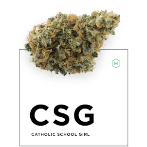 Photo of CSG