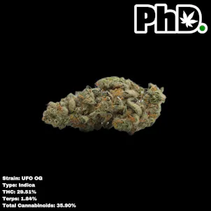 Photo of PhD Indoor Flower - UFO OG