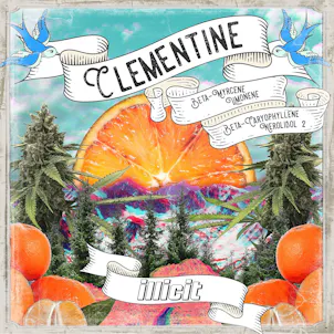 Photo of Clementine 1g Flower