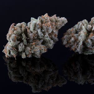 Photo of Golden Ticket