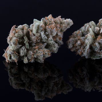 Photo of Golden Ticket