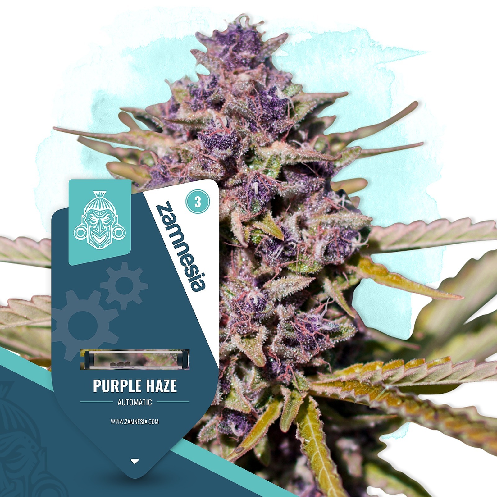 Zamnesia: Purple Haze Automatic By Zamnesia Seeds | Leafly