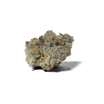 Photo of Gelato N' Cream