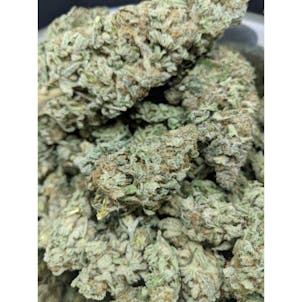 Photo of Sensi Star Flowers