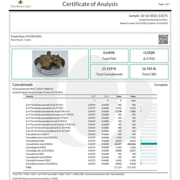 Photo of Purple Haze Indoor-Grown CBD Flower (16.7% CBD)