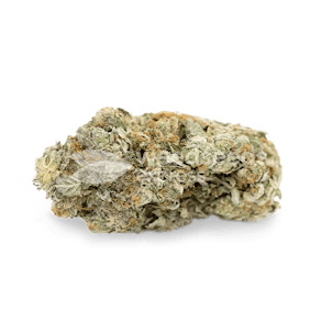 Photo of Gorilla Glue Autoflower Seeds