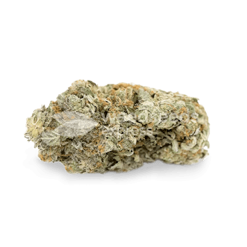 Photo of Gorilla Glue Autoflower Seeds