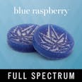 Blue Raspberry Gummy 200mg (4 pack)