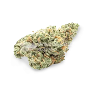Photo of OG Kush CBD Feminized Seeds