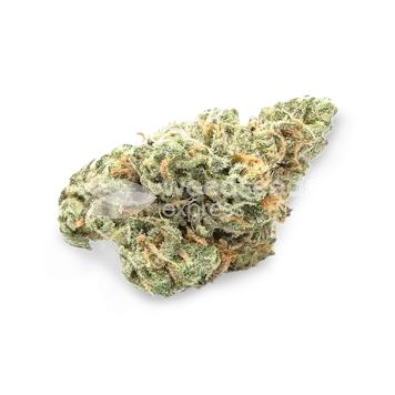 Photo of OG Kush CBD Feminized Seeds