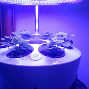 Photo of Indoor Hydroponic Growing System - H601-C
