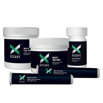 Photo of Walk the Dog