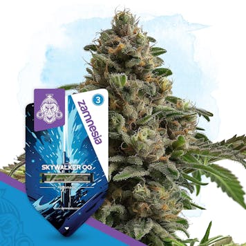 Photo of Skywalker OG Automatic by Zamnesia Seeds