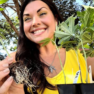 Photo of Permanent Marker Clones | Shipping To All 50 States