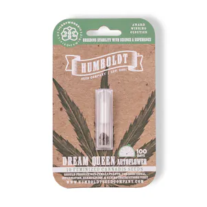 Photo of Dream Queen Autoflower Feminized Seeds 10-pack