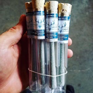 Photo of Headlight Pre-Rolls