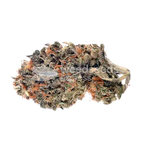 Photo of Cherry Pie Feminized Seeds