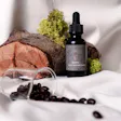 Product image for Earth