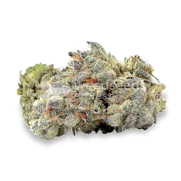 Photo of Ice Cream Cake Feminized Seeds