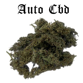 Photo of Auto CBD