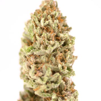 Photo of Pink Lemonade