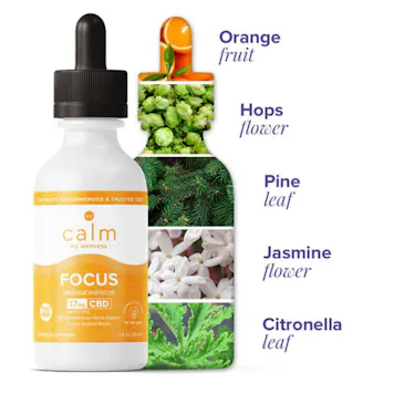 Photo of CBD Oil Tincture Focus