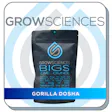 Product image for Gorilla Dosha Bigs