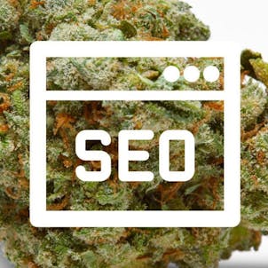 Photo of Cannabis SEO