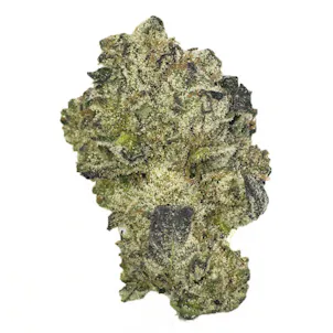 Photo of Gelato #3