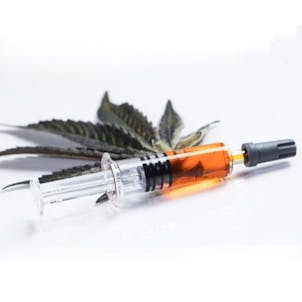 Photo of CBD Shark Pure Syringe 1g