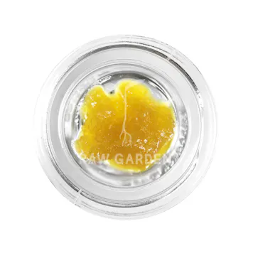 Photo of Gluetopia Live Resin 1g